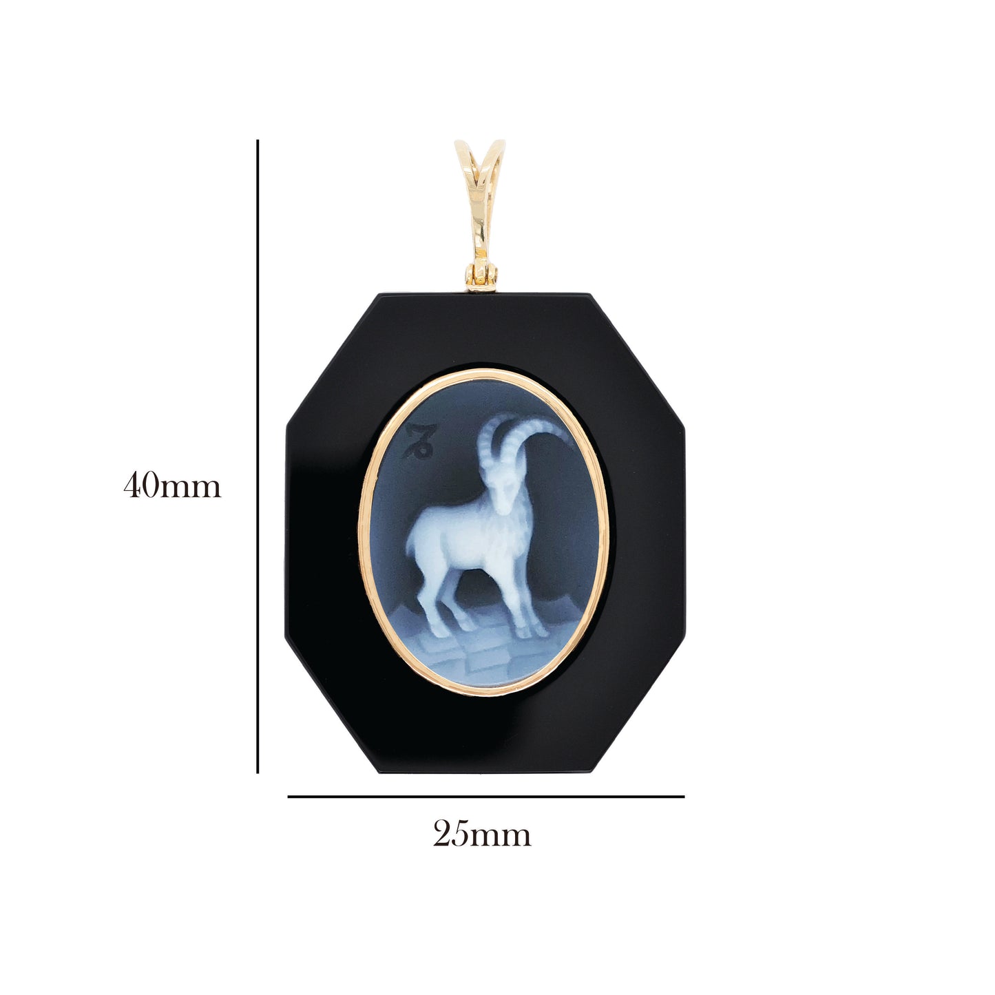 Zodiac Capricorn Onyx Pendant